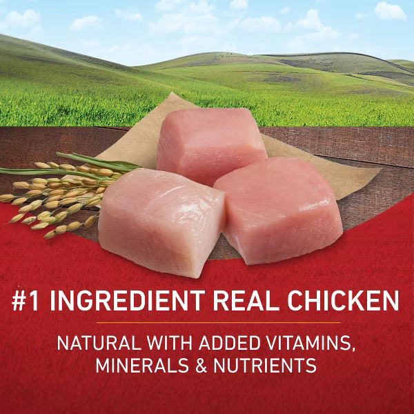 Purina ONE SmartBlend Natural Dry Dog Food with Chicken & Rice